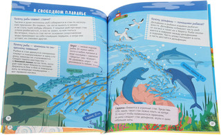 Почему кит не рыба? Интересные факты о морских обитателях 3