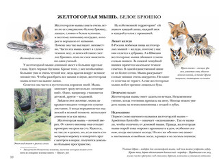 Мышиная книга 3