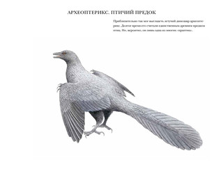 Синицы и их родня 3