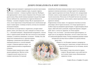 Синицы и их родня 4