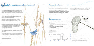 Моя книга бабочек 3