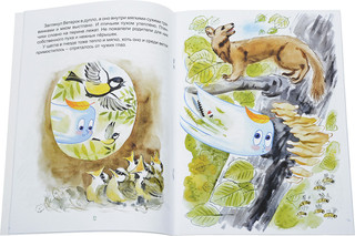 Кто пёрышко потерял? 2