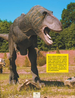 Все о динозаврах 13