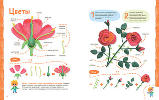 Пластилиновая лаборатория Чевостика 4