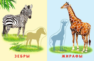 Звери Африки. Аппликация 2