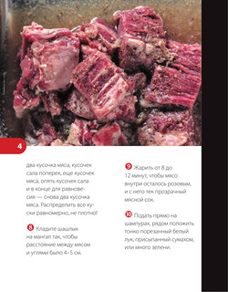 PRO шашлык. Непромокаемая книга 5