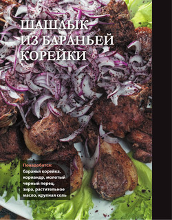 PRO шашлык. Непромокаемая книга 7