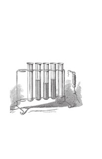 Вообще ЧУМА! история болезней от лихорадки до Паркинсона 7