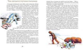 Как я стал путешественником 6