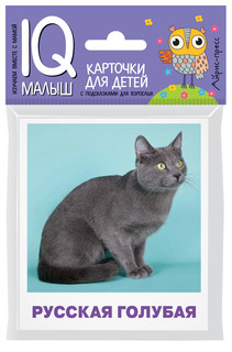 Умный малыш. Породы кошек. Набор карточек для детей, размер 9...