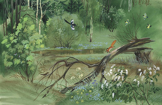 Беличья память. Рассказы о природе 3