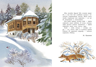 Беличья память. Рассказы о природе 4