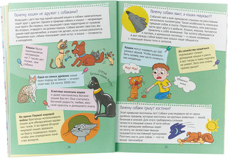 Почему хрюшек считают грязнулями? 100 интересных фактов о домашних животных 2