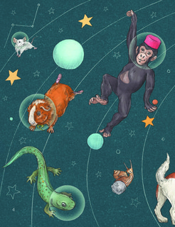 Животные-космонавты. Первые покорители космоса 10