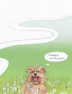 Животные-космонавты. Первые покорители космоса 12