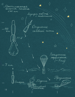 Животные-космонавты. Первые покорители космоса 13