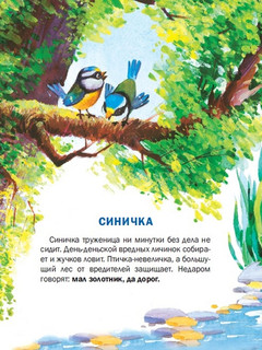 Познавайка 4