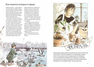 Календарь Линнеи 4