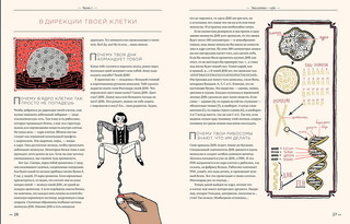 Чудо — ты и триллионы твоих жильцов 4