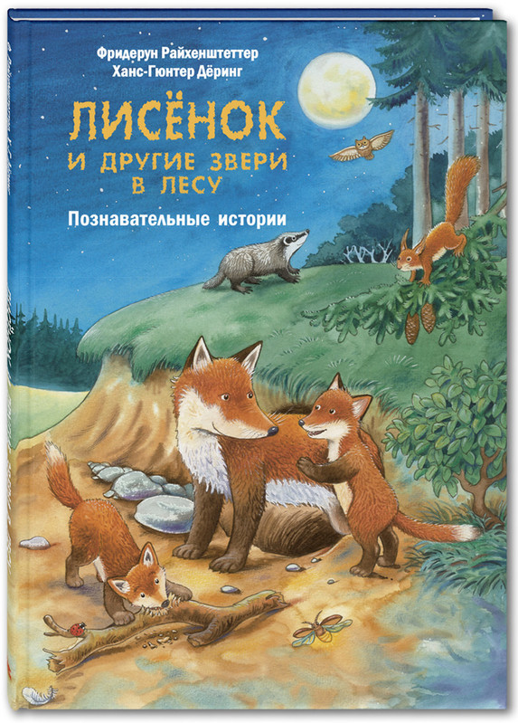 Лисёнок и другие звери в лесу