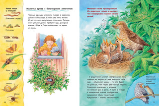 Маленькая синичка и её друзья 5