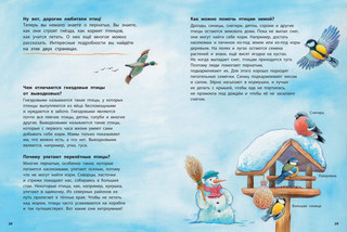 Маленькая синичка и её друзья 6