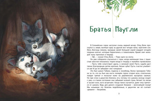 Книга джунглей. История Маугли 3