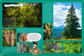 Природа России. 1000 удивительных фактов 2