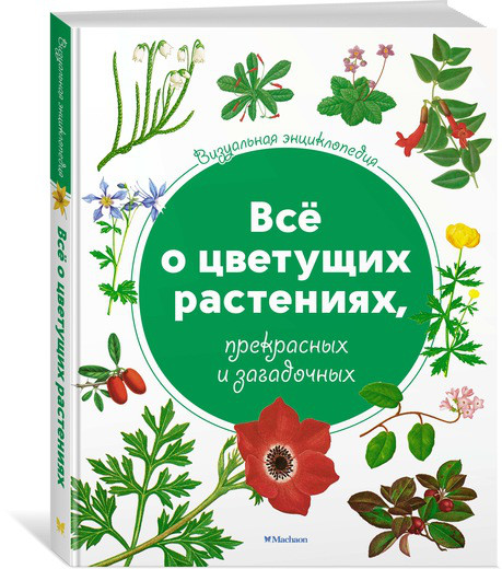 Визуальная энциклопедия. Всё о цветущих растениях, прекрасных и загадочных