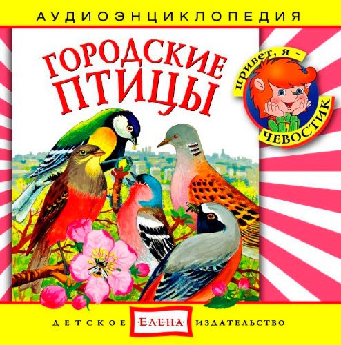 Городские птицы. Аудиоэнциклопедия (аудиокнига CD)
