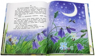 Лягушка-путешественница 5