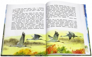 Лягушка-путешественница 6