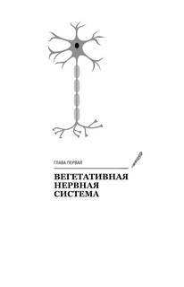 Как победить панические атаки, ВСД и невроз 13