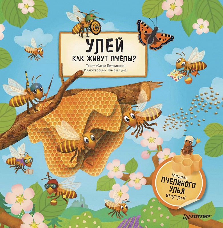 Улей. Как живут пчёлы?