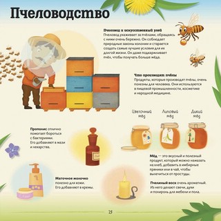 Улей. Как живут пчёлы? 3