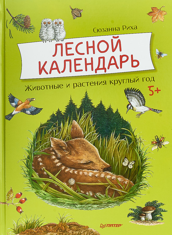 Лесной календарь: Животные и растения круглый год