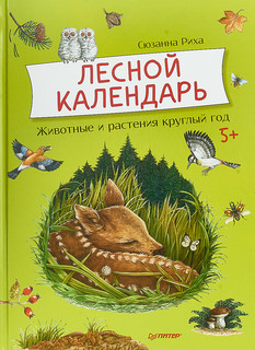 Лесной календарь: Животные и растения круглый год