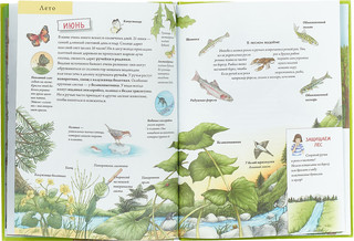Лесной календарь: Животные и растения круглый год 2
