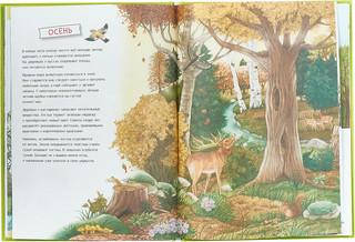 Лесной календарь: Животные и растения круглый год 4
