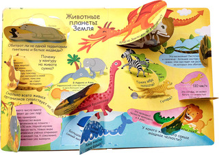 Наша планета. Волшебные окошки 2