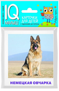 Набор карточек для детей. Породы собак