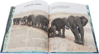 Миграция. Невероятные путешествия животных 3