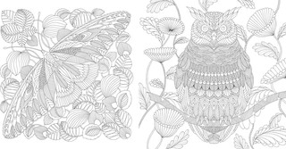 Чудеса природы. Золотая коллекция любимых иллюстраций 4