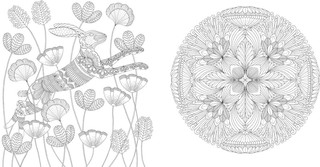 Чудеса природы. Золотая коллекция любимых иллюстраций 6