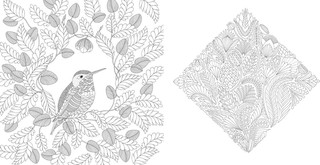 Чудеса природы. Золотая коллекция любимых иллюстраций 7