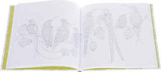 Дивные птицы 3