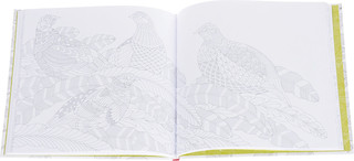 Дивные птицы 4