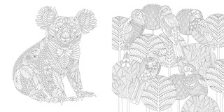 Дивные птицы 6