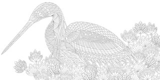 Дивные птицы 7