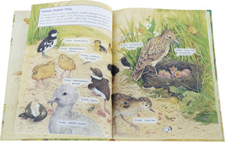 Кто вылупился из яйца? 3